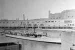 Violet 1897: Violet Class Torpedo Boat Destroyer
