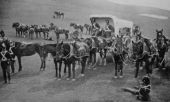 Ambulance Wagon 1896
