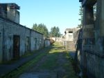 Fort Worden: Artillery Hill