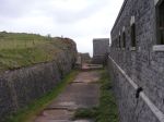 breandown13