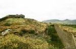 Lonehort Battery