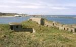 Roselle Battery