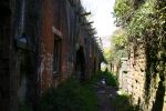 Fort Hubberstone: Rear of gun casemates