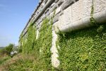 Fort Hubberstone: Gun casemates