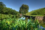Fort Rowner: Gosport: Hampshire: West ditch and caponier.