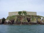 Thorn Island: 