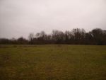Fort Wallington: View from N.W. in 2011