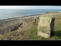 Needles Old Battery